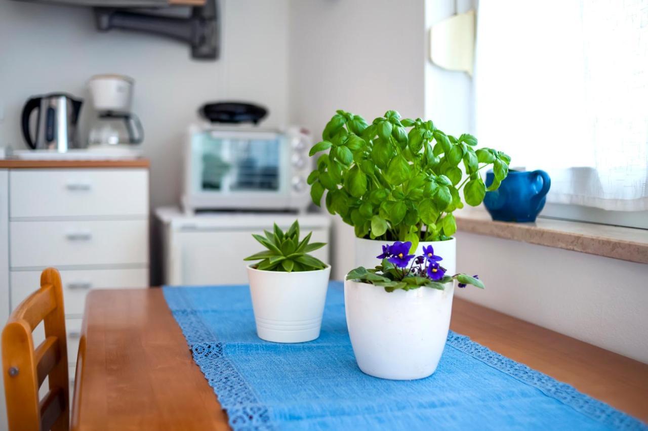 Apartment Casa Banko 로비니 외부 사진